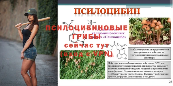 твердый Нея