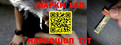 гидропоника Гатчина