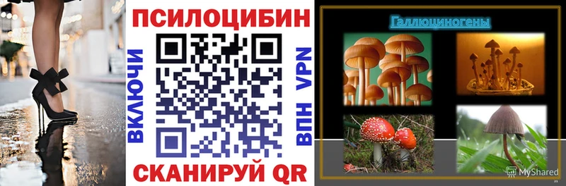 omg зеркало  Кулебаки  Псилоцибиновые грибы ЛСД 
