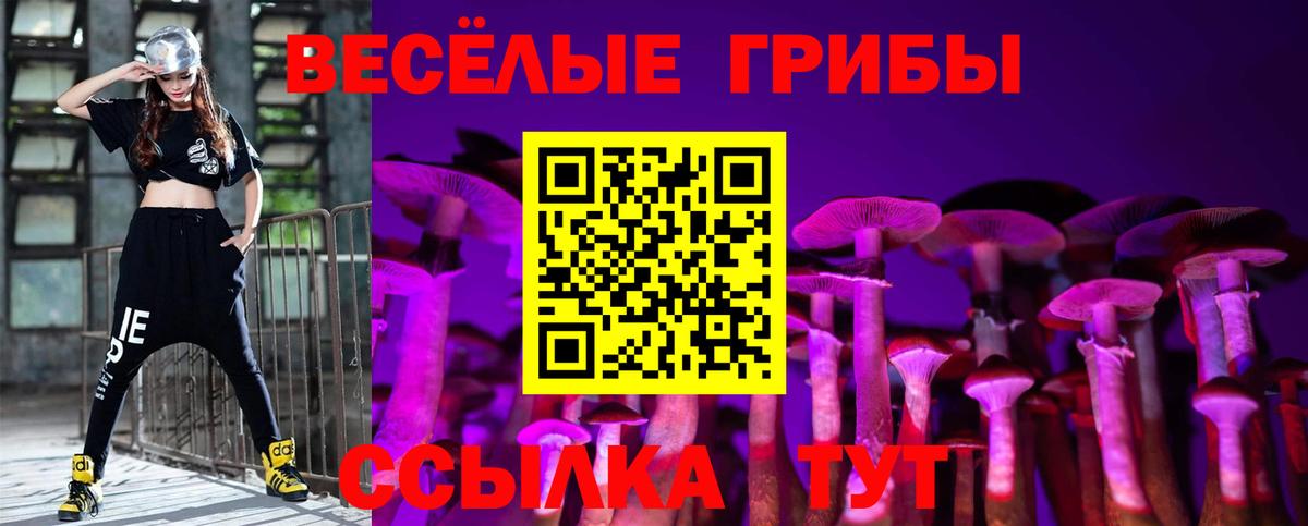 Галлюциногенные грибы GOLDEN TEACHER  цена наркотик  Кулебаки  Вход с VPN  Галлюциногенные грибы GOLDEN TEACHER 